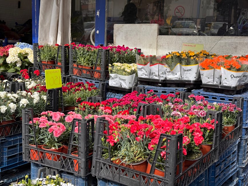 A display of potted flowers arranged on black plastic crates outside a flower shop, featuring vibrant pink, red, white, yellow, and orange blossoms. The flowers include carnations and marigolds, with 