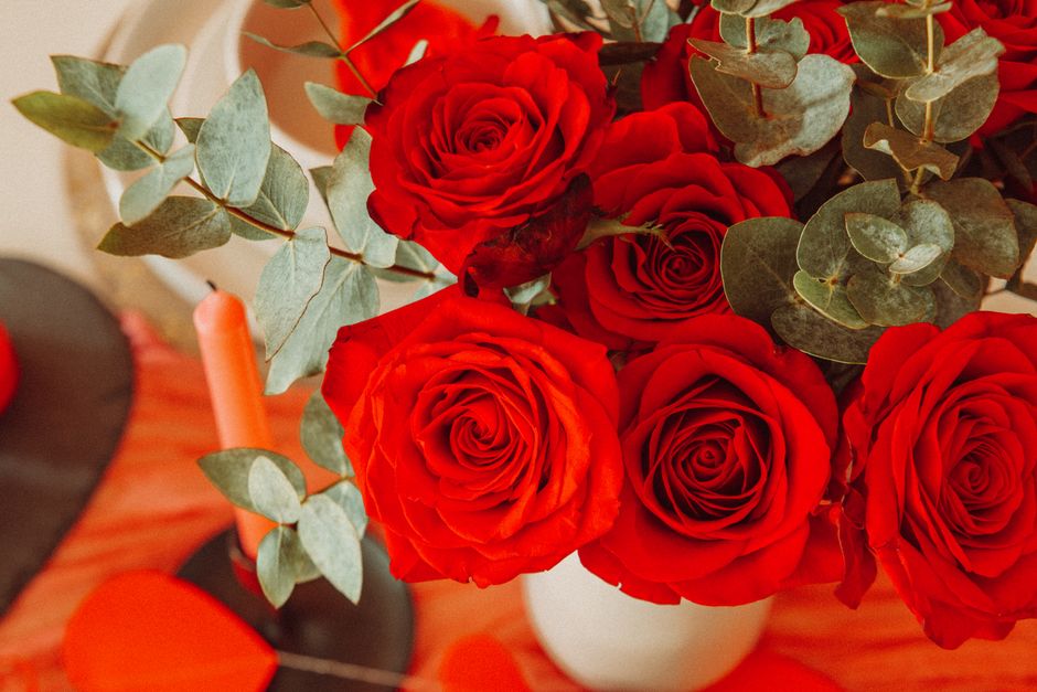 A close-up of a bouquet of vibrant red roses with tightly layered petals, accompanied by green eucalyptus leaves with rounded, silvery-green foliage. The flowers are arranged in a white vase, placed o