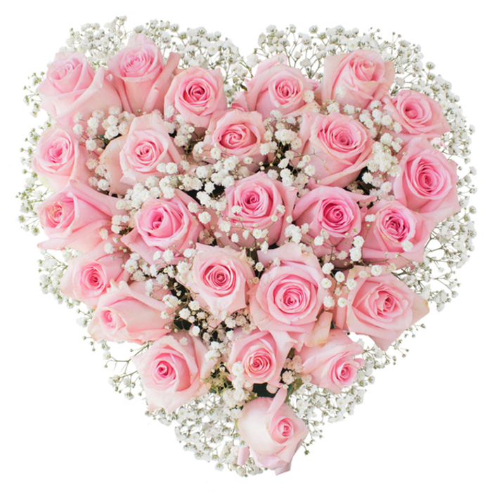 Filling the frame with a soft, romantic presence, this heart-shaped creation is composed of dozens of pastel pink roses closely arranged to form a plush, velvety surface against a stark white background. Each rose bears subtle shifts in tone-from the palest peony-blush at the petal tips to a richer rose-pink at the centre-creating a gentle gradient that gives the heart depth and warmth. Interspersed among the roses are innumerable tiny white gypsophila clusters; their minute, cloud-like florets float between the larger blooms, lending an airy, lace-like contrast that both lightens and sharpens the heart's silhouette. The arrangement's compact build and even lighting reveal the care taken in placing each bloom: the balance of open and bud-stage roses, the rhythm of texture from velvet petals to feathery baby's breath, and the soft shadows that define each curve. Emotionally, the piece reads as a quiet ode to devotion-suited for romantic celebrations, weddings, anniversaries, and tender remembrances-bringing a sense of calm and refined affection to any room. For someone local to Muswell Hill, imagine receiving this bouquet after a walk through the Broadway or as a centrepiece in a reception near Fortis Green Road; it feels at once classic and intimately personal, a floral statement of love shaped with experienced hands and thoughtful restraint.