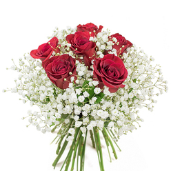 Designed by seasoned Muswell Hill florists for those seeking a classic expression of affection, this bouquet is a harmony of vibrant red roses and airy white gypsophila. Each rose is selected for its luminous, velvety petals-every bloom opened to reveal a spiral of passionate crimson, reminiscent of summer evenings in nearby Queen's Wood. The surrounding baby's breath, with its soft, billowing clusters, adds an innocent brightness that lets the bold roses shine without overwhelming them. The arrangement is artfully compact and rounded, every angle considered so that whether it sits on a mantle above Alexandra Park Road or graces a dining table near Broadway, its perfection endures. Through the polished glass vase, strong and verdant stems are showcased, symbolising the freshness of the arrangement and the commitment to craft in every delivery. Set against a crisp white backdrop, the interplay between light and shadow gives dimension and life to the bouquet, eliciting emotion-love, gratitude, and quiet celebration. This arrangement whispers stories of shared moments and special memories, made all the more meaningful by its local creation here in Muswell Hill.